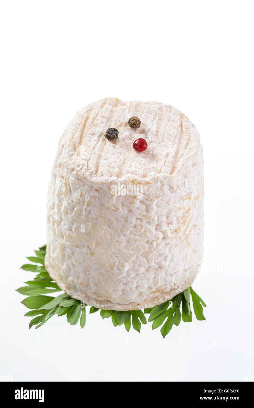 Francese formaggi caprini su sfondo bianco Foto Stock