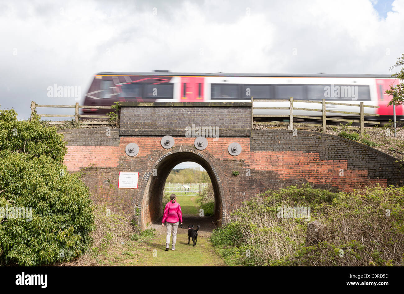 East Midlands treno attraversando tunnel di accesso tra Lichfield e Burton upon Trent, Saffordshire, England, Regno Unito Foto Stock