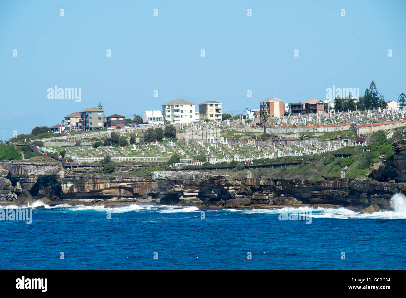 Sydney passeggiata costiera nella parte anteriore del cimitero di Waverley. Foto Stock