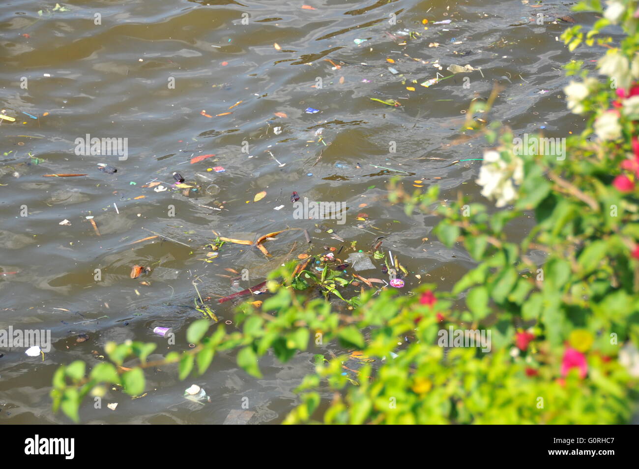 Rifiuti di plastica galleggiando giù un fiume causando inquinamento in un fiume a Bangkok, in Thailandia. Foto Stock