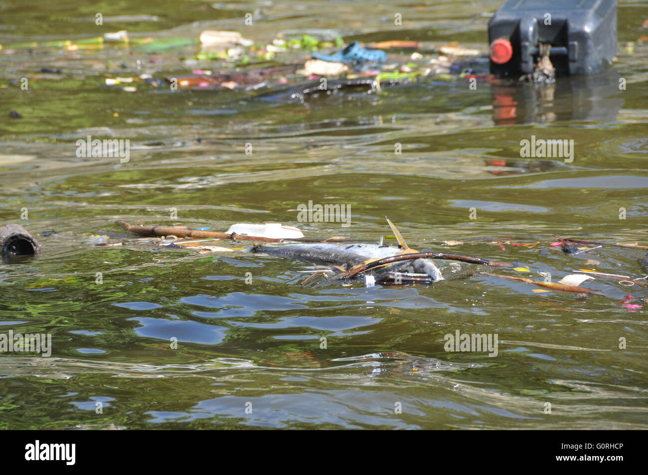Rifiuti di plastica galleggiando giù un fiume causando inquinamento in un fiume a Bangkok, in Thailandia. Foto Stock