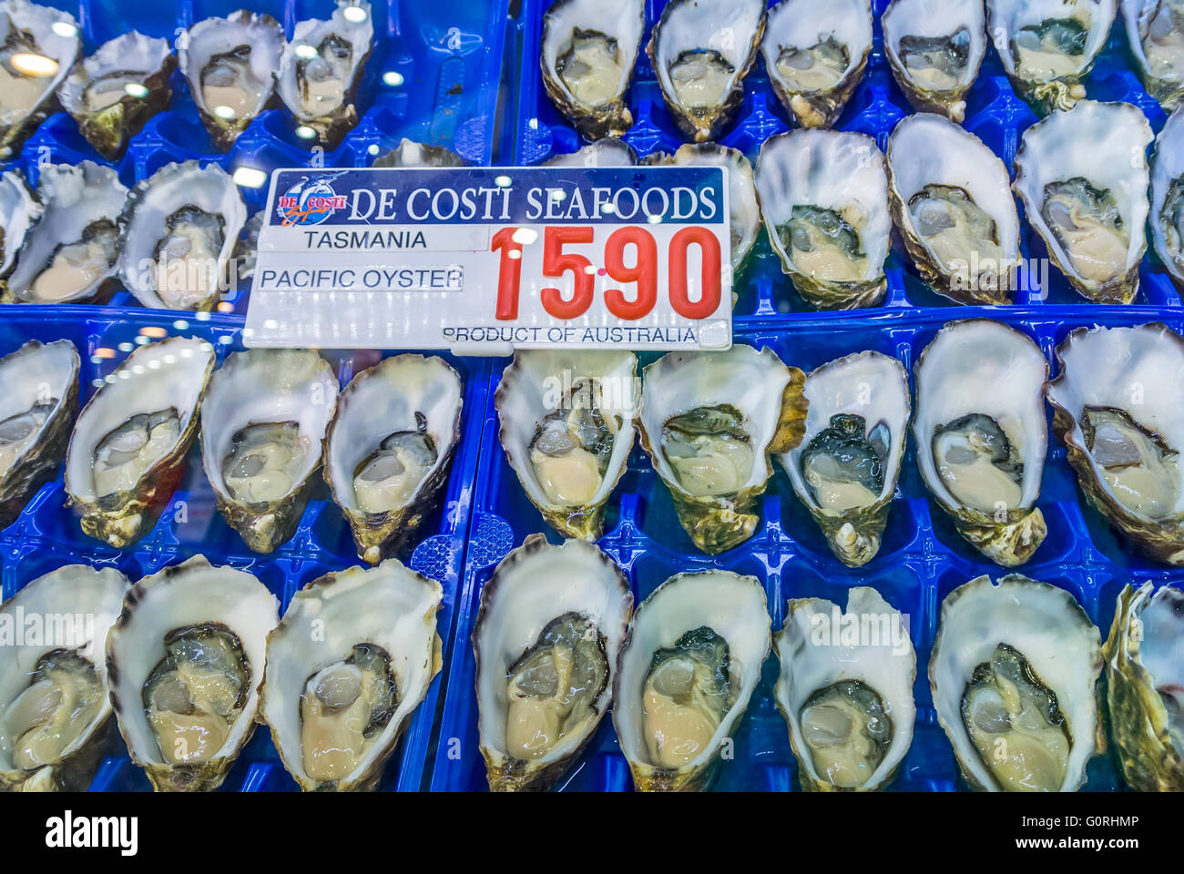 Fresco del Pacifico oyster sul famoso Sydney Fish Market, Sydney, Nuovo Galles del Sud, Australia Foto Stock