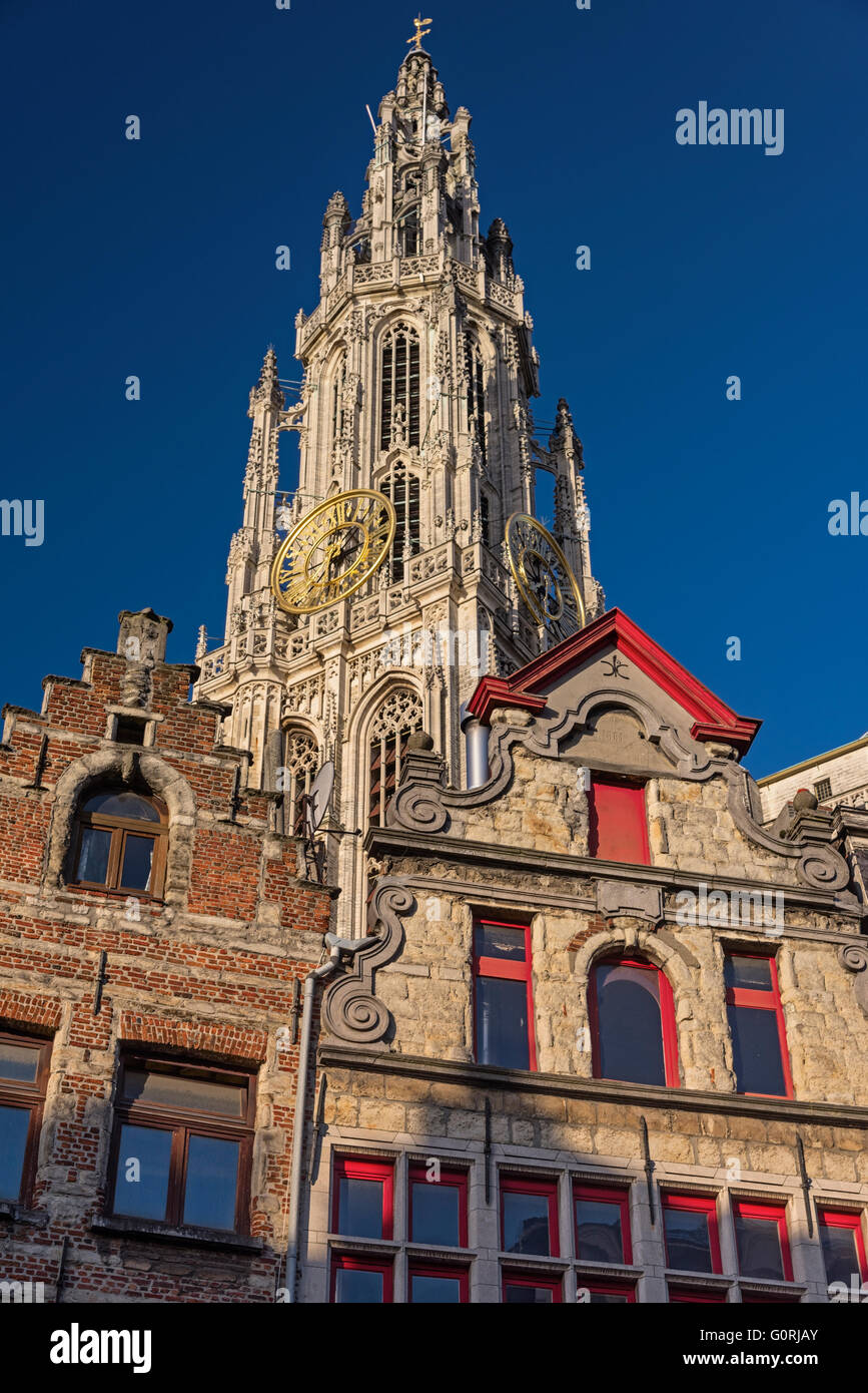 Guglia della cattedrale e guildhouses Anversa in Belgio Foto Stock