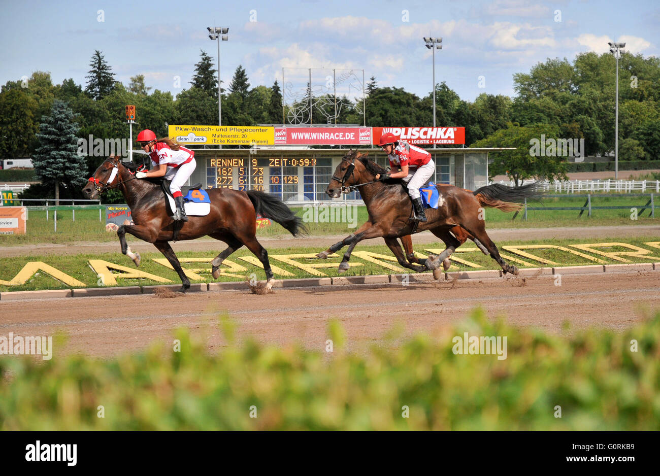 Cablaggio racing, Trabrennbahn Mariendorf, Mariendorf, Berlin, Germania / Corso di trotto Foto Stock