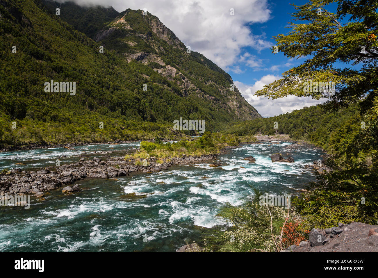 Un fiume e rapide piccolo vicino a Puerto Montt, Cile, America del Sud. Foto Stock