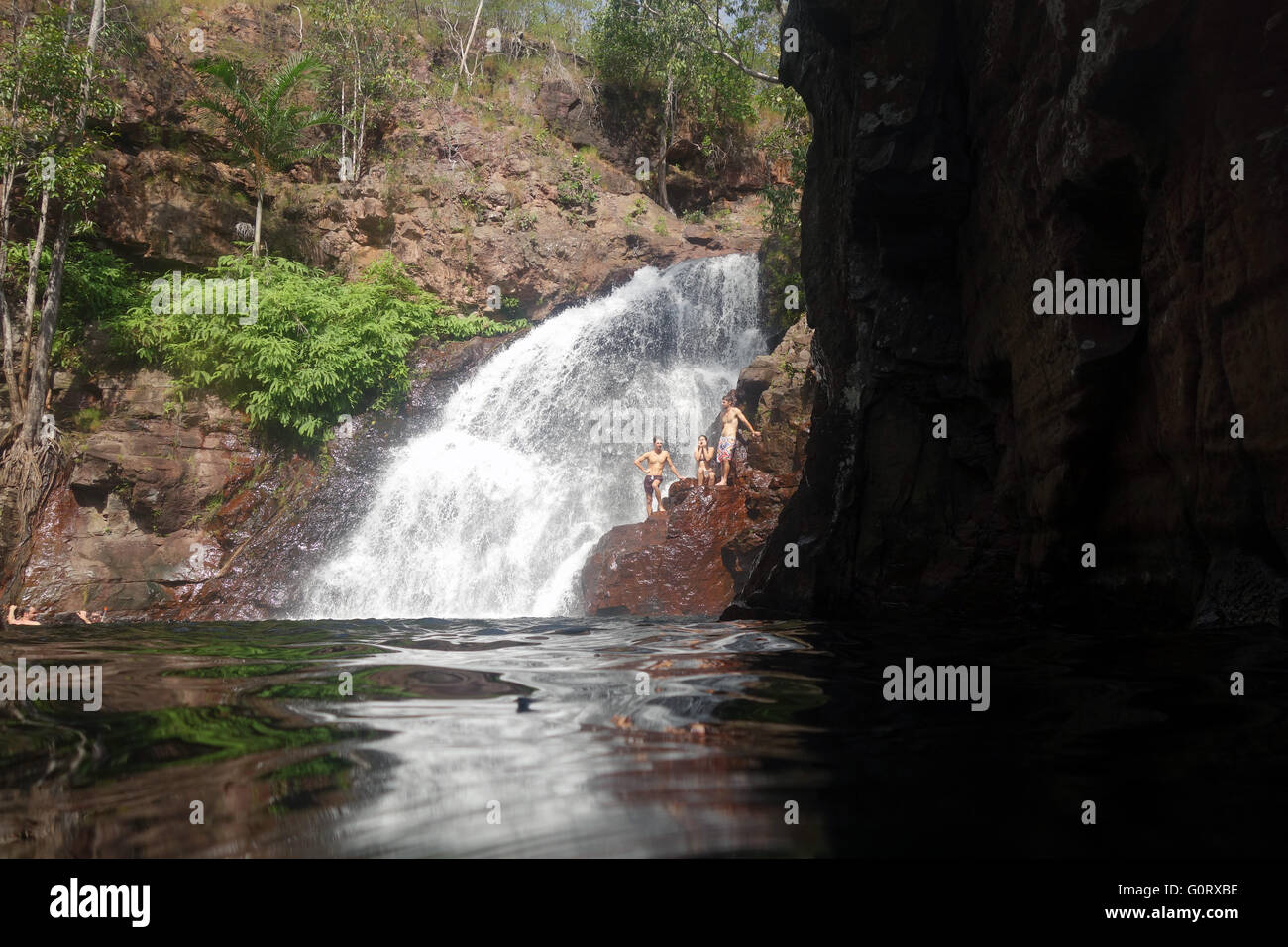Nuotatori a Firenze cade, il Parco Nazionale di Litchfield, Territorio del Nord, l'Australia. No signor Foto Stock