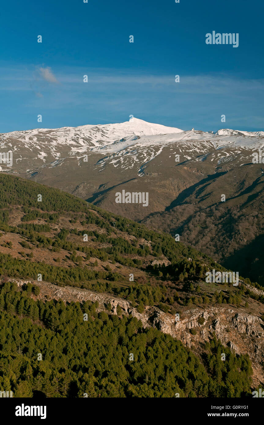 Picco di veleta (3.396m), il parco nazionale della sierra nevada, provincia di Granada, regione dell'Andalusia, Spagna, Europa Foto Stock