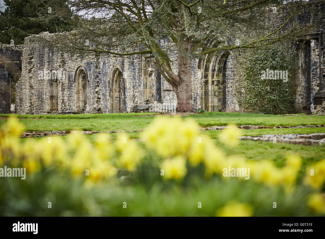 Whalley un grande villaggio in Ribble Valley sulle rive del fiume Calder nel Lancashire. Il villaggio ha le rovine di Whalley un Foto Stock