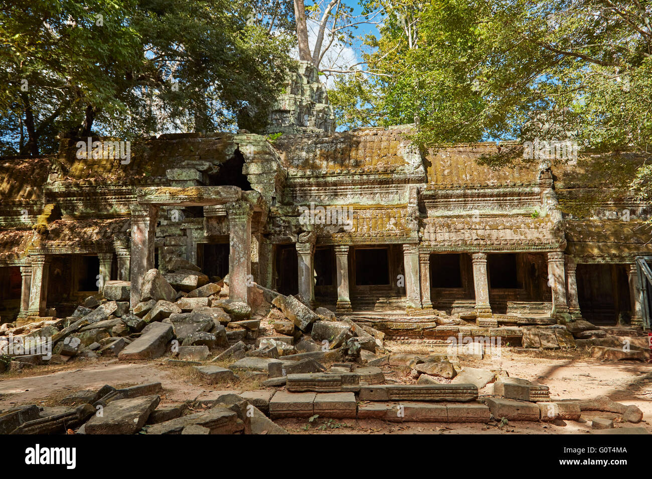 Ta Prohm rovine del tempio (XII secolo), Angkor Sito Patrimonio Mondiale, Siem Reap, Cambogia Foto Stock