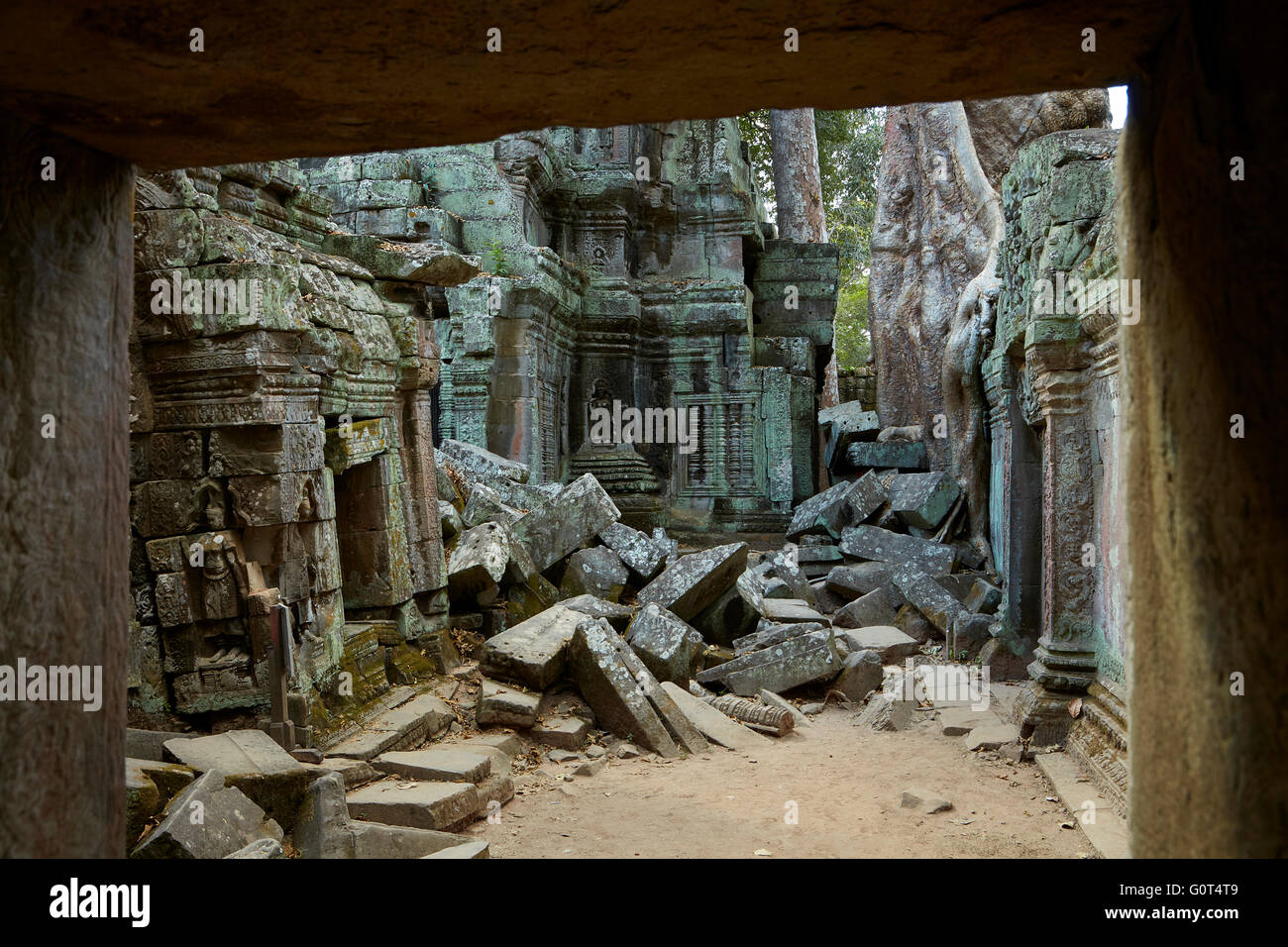 Ta Prohm rovine del tempio (XII secolo), Angkor Sito Patrimonio Mondiale, Siem Reap, Cambogia Foto Stock