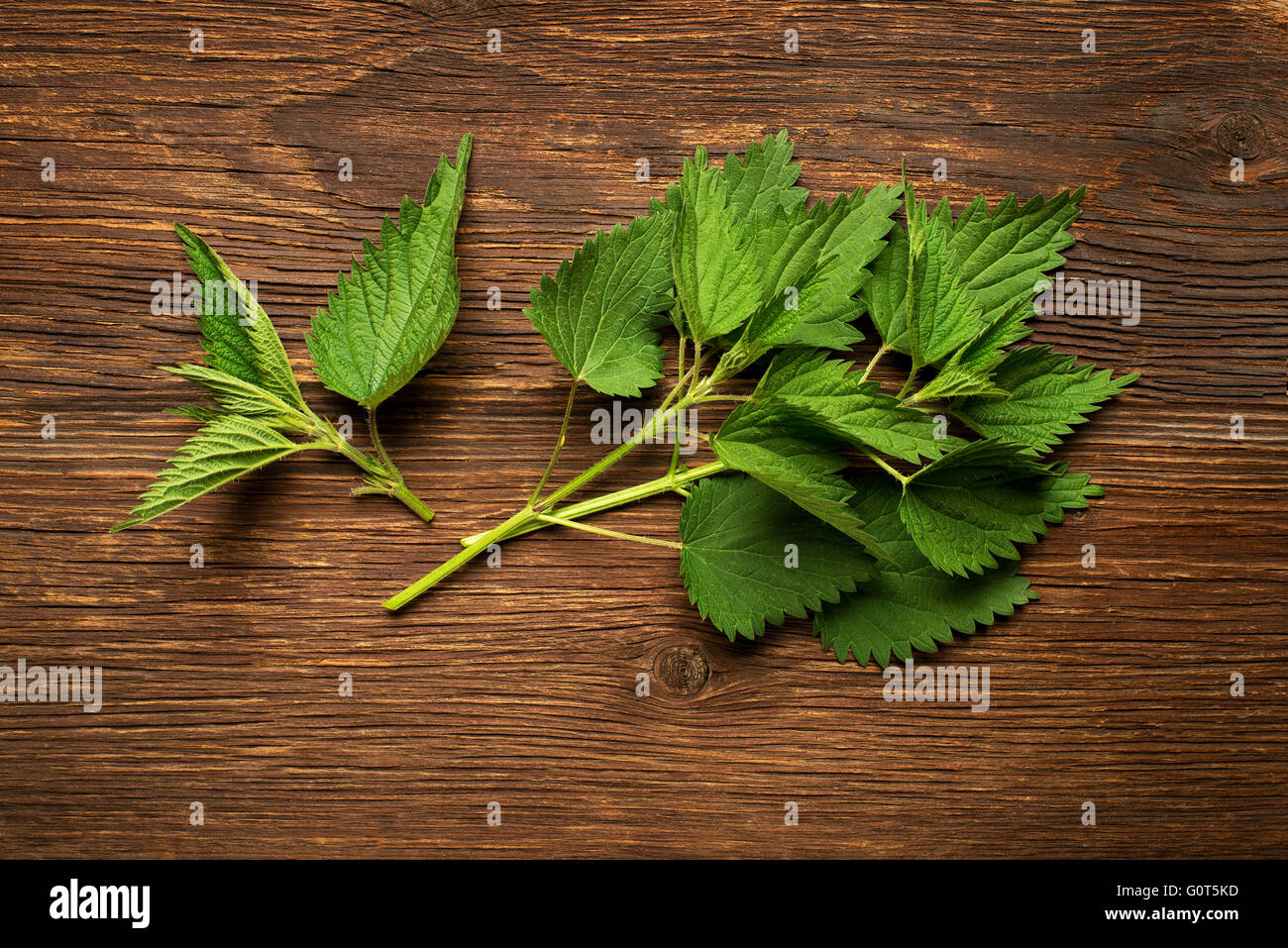 Freschi di Ortica foglie verdi su uno sfondo di legno. Foto Stock