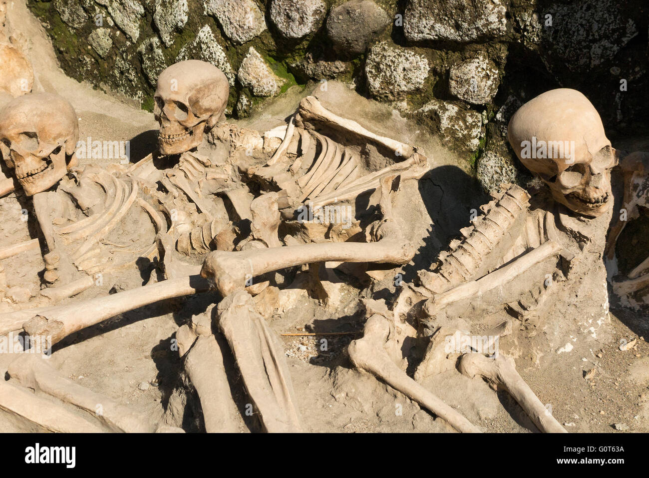 Ossa e scheletri, teschi e morti corpi popoli; le vittime a Roman Ercolano che sono state scoperte nella boathouses. Italia Foto Stock