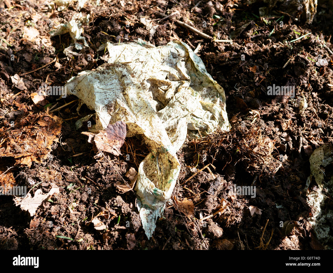 Compostabile bag in un compost dopo un anno. Foto Stock