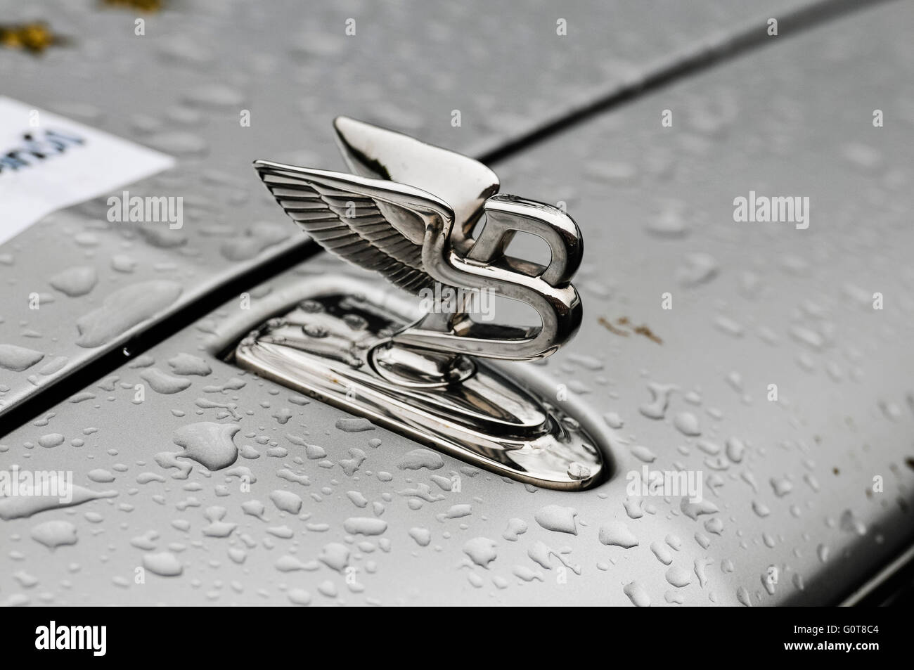 Mascotte anteriore sul cofano del motore di un 2016 Bentley Mulsanne Foto Stock