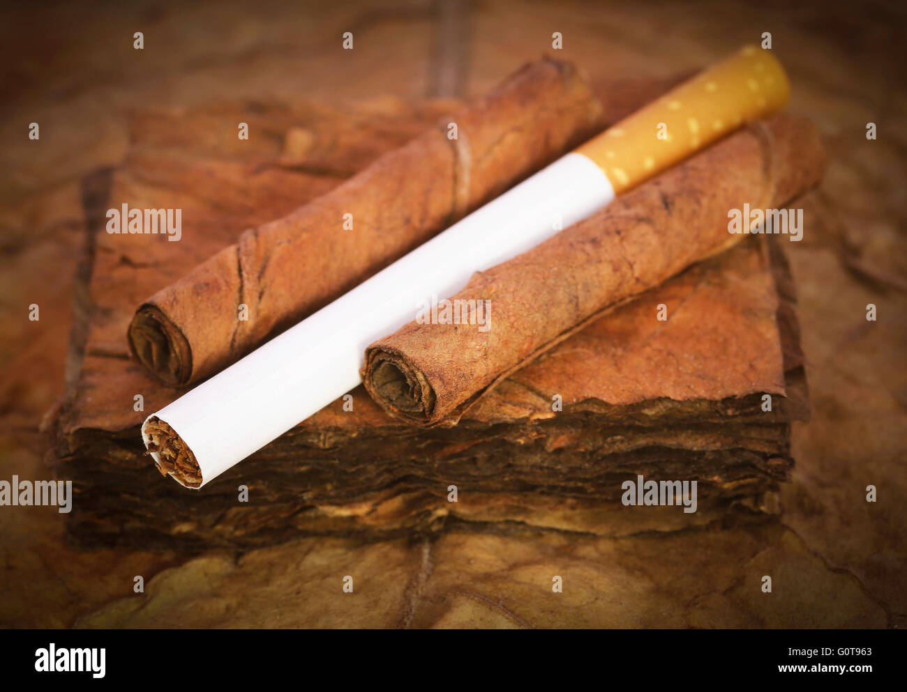 Closeup sigaretta a secco con foglie di tabacco Foto Stock