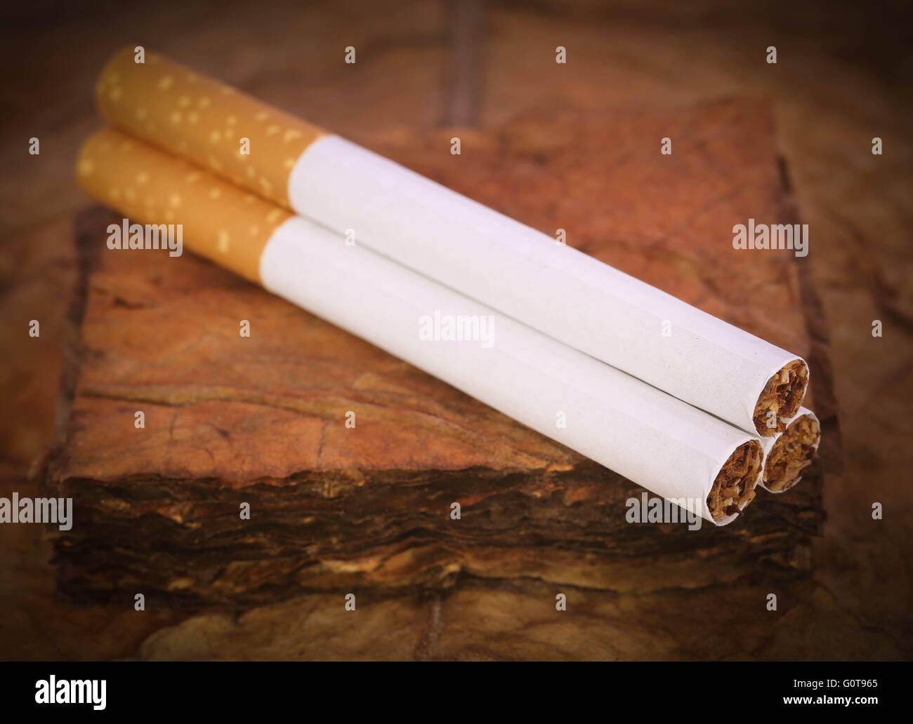Closeup sigaretta a secco con foglie di tabacco Foto Stock