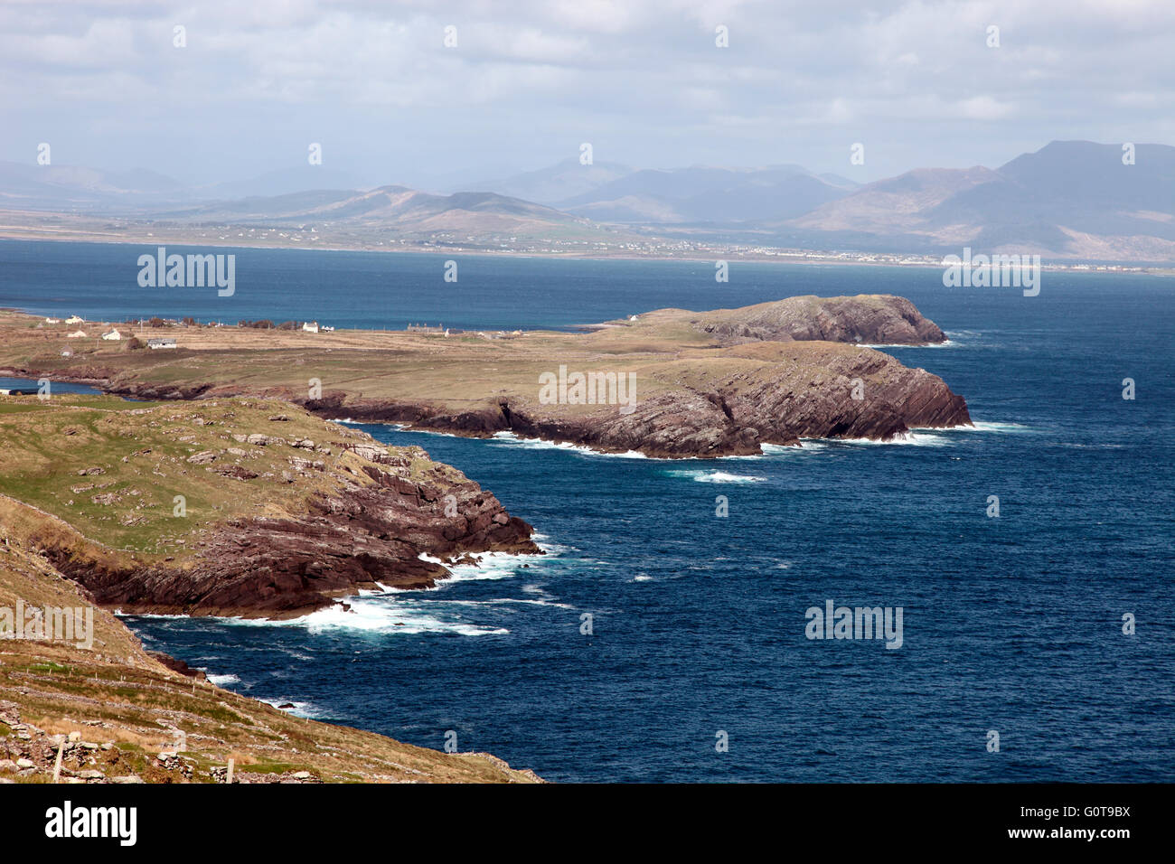 Isola di cavallo in Ballinskelligs Bay County Kerry Foto Stock