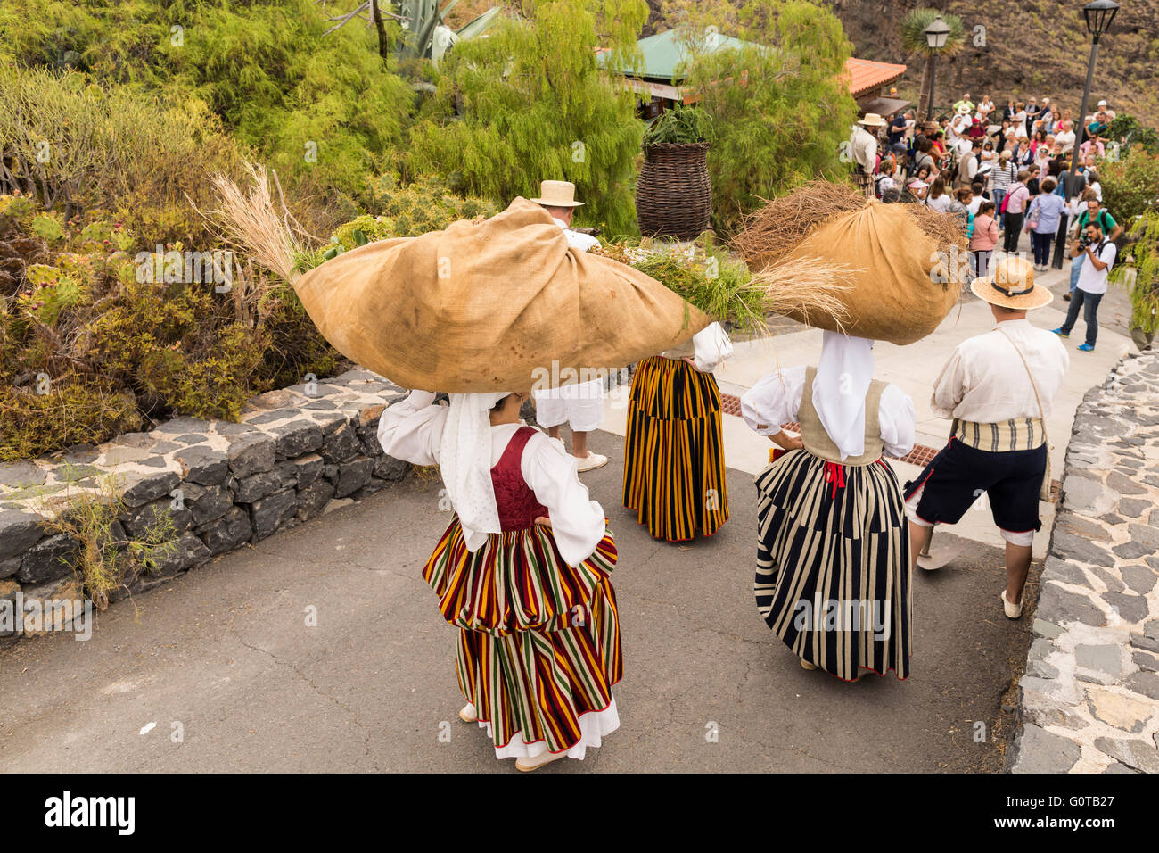 Le donne nel XIX secolo abiti contadini portano mazzi di erbe e di aghi di pino di sacco bilanciato sulle loro teste, parte di un t Foto Stock