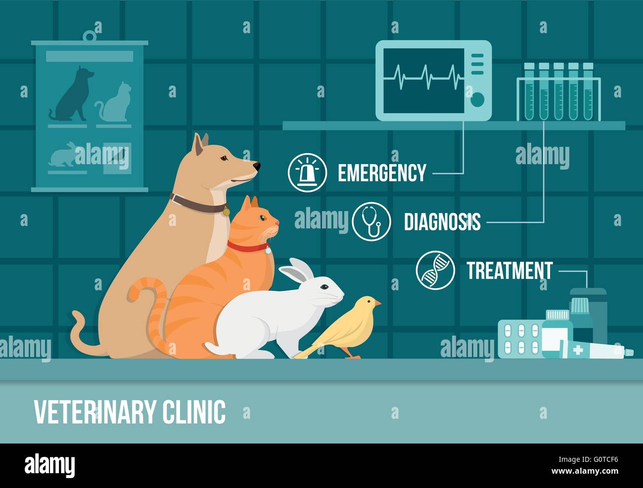 Ambulatorio veterinario banner con cane, gatto, coniglio, bird, attrezzature mediche e farmaci e set di icone Illustrazione Vettoriale
