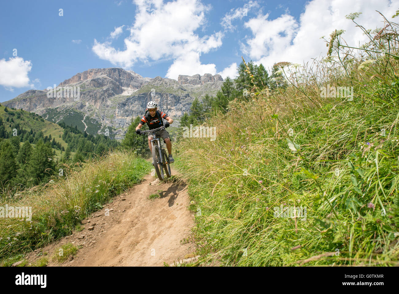 Un uomo in sella alla sua mountain bike lungo il sentiero, Dolomiti, Italia Foto Stock