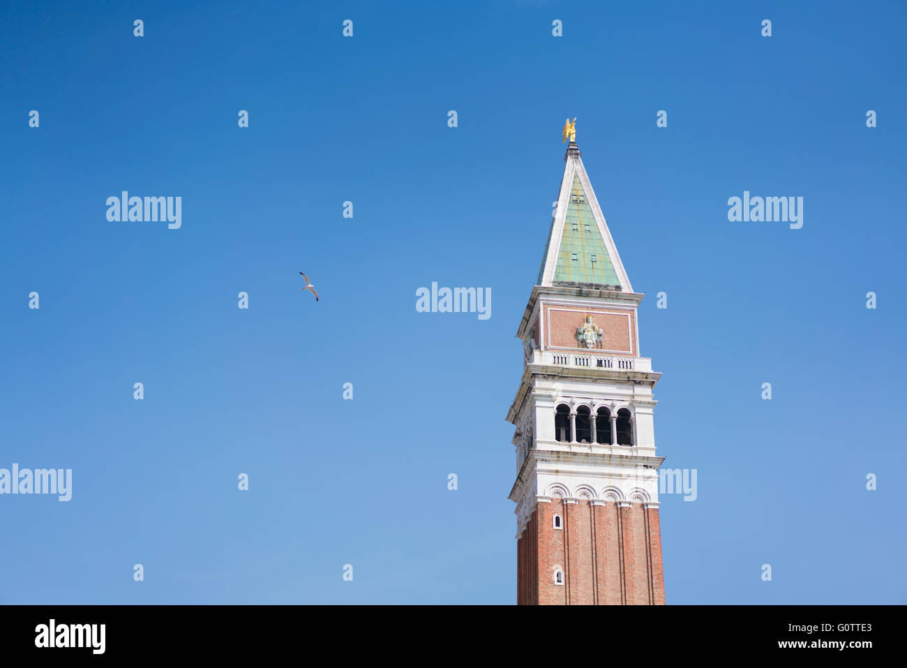 Torre campanaria con un uccello a Piazza San Marco, Venezia, copia dello spazio sul cielo blu sullo sfondo Foto Stock