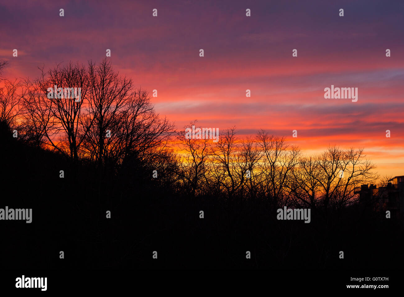 Alberi al tramonto sul cielo molto nuvoloso Foto Stock