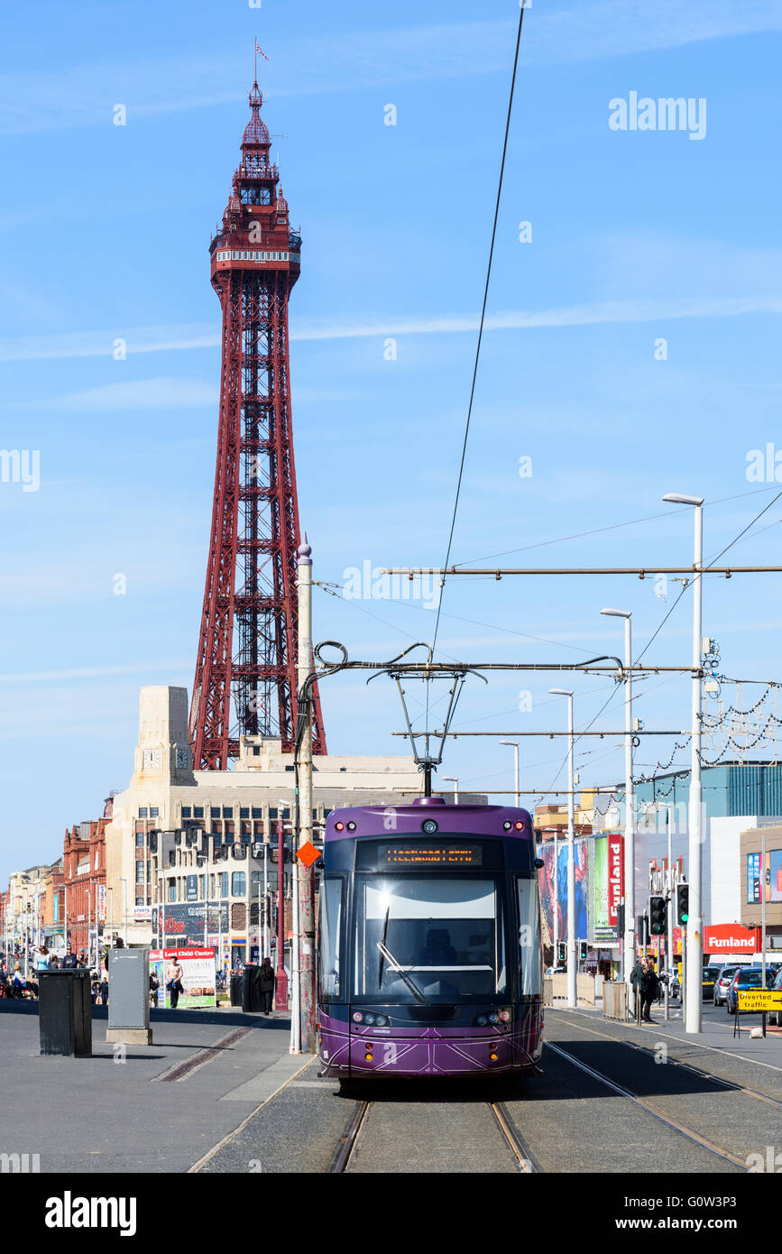 Moderno il tram passa lungo la promenade come teste verso la mitica Torre di Blackpool in Blackpool, Lancashire, Regno Unito Foto Stock