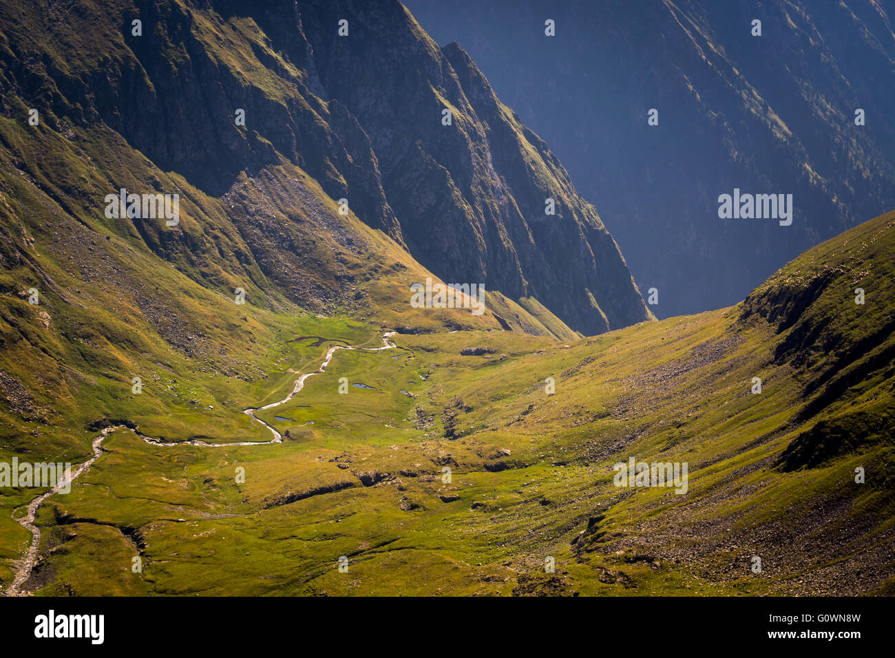 Bellissima valle verde con un fiume nelle montagne dei Carpazi, Romania Foto Stock