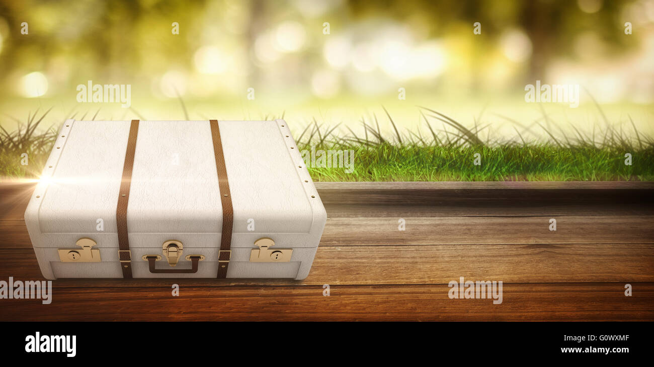 Immagine composita della valigia Foto Stock