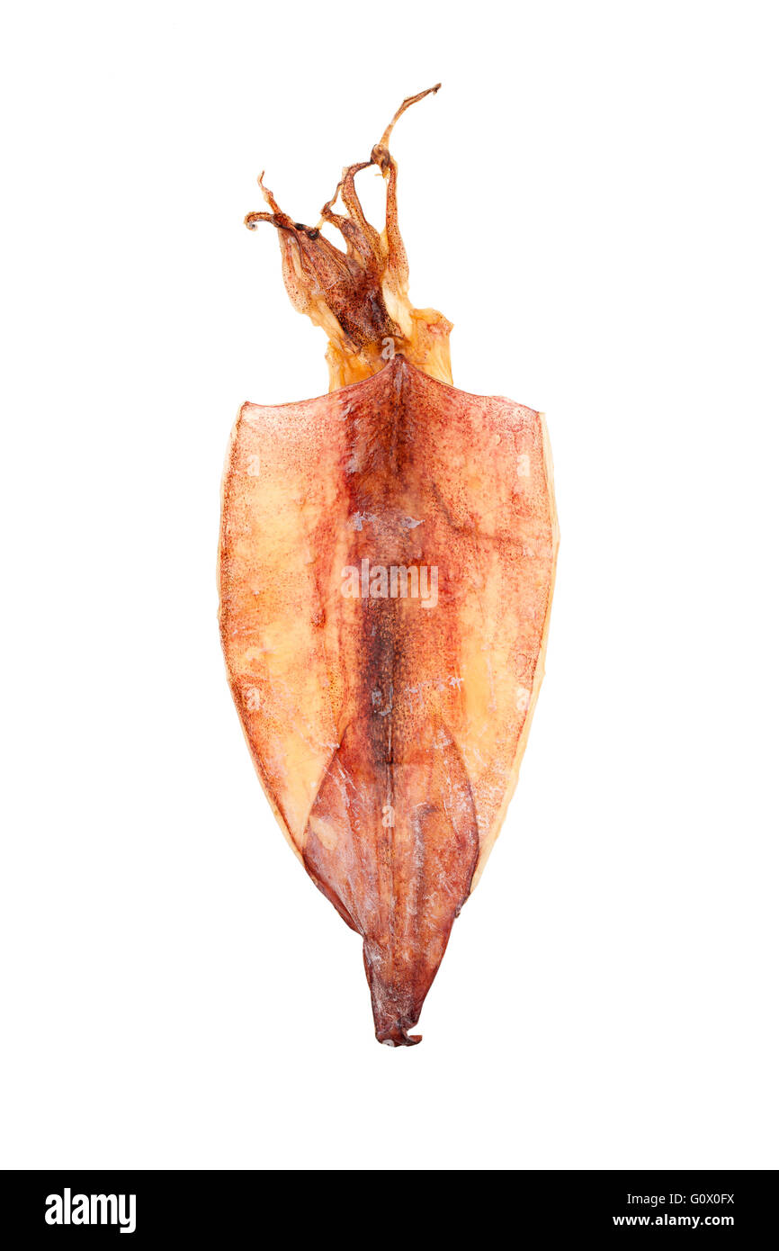 Calamaro asciugato isolati su sfondo bianco Foto Stock