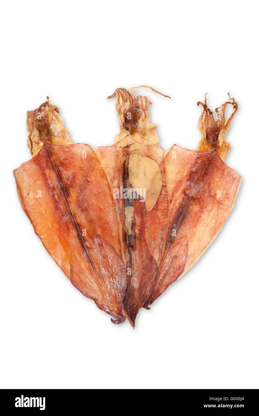 Calamaro asciugato isolato su sfondo bianco con il percorso Foto Stock