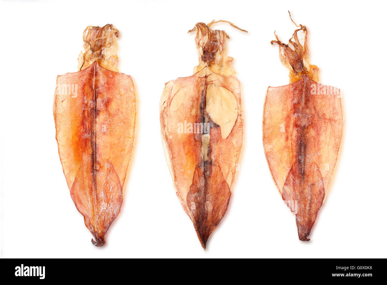 Calamaro asciugato isolato su sfondo bianco con il percorso Foto Stock