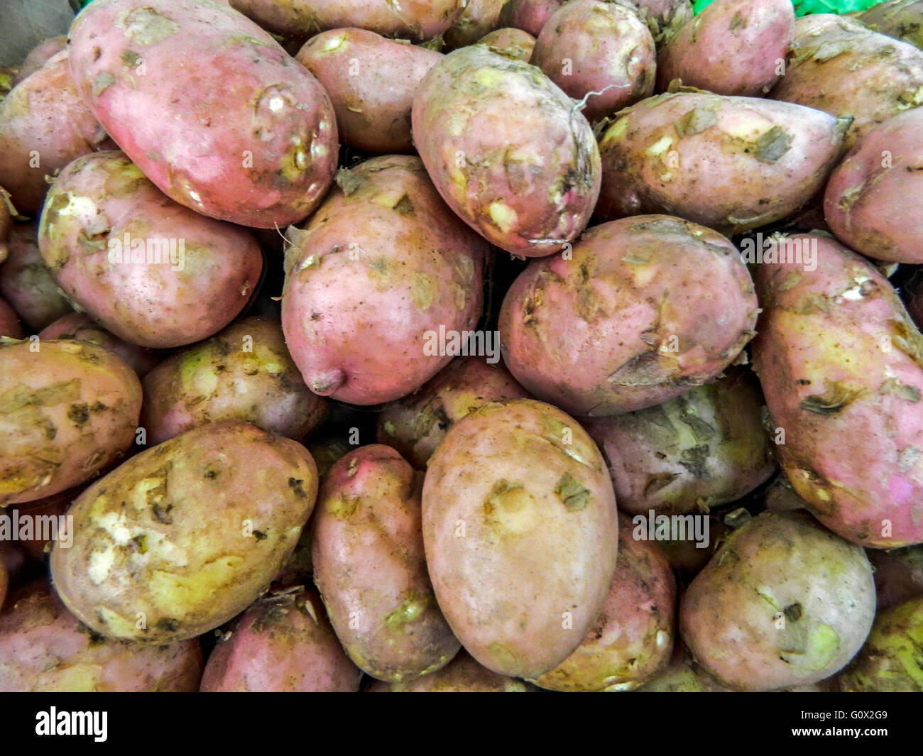 Giovani Patate fresche nel mercato è in attesa per la vendita. Foto Stock