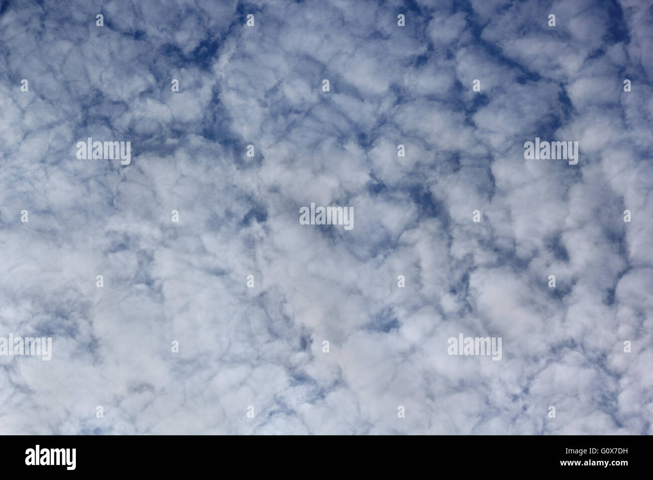 Cloudscape formata da altocumulus floccus nubi Foto Stock