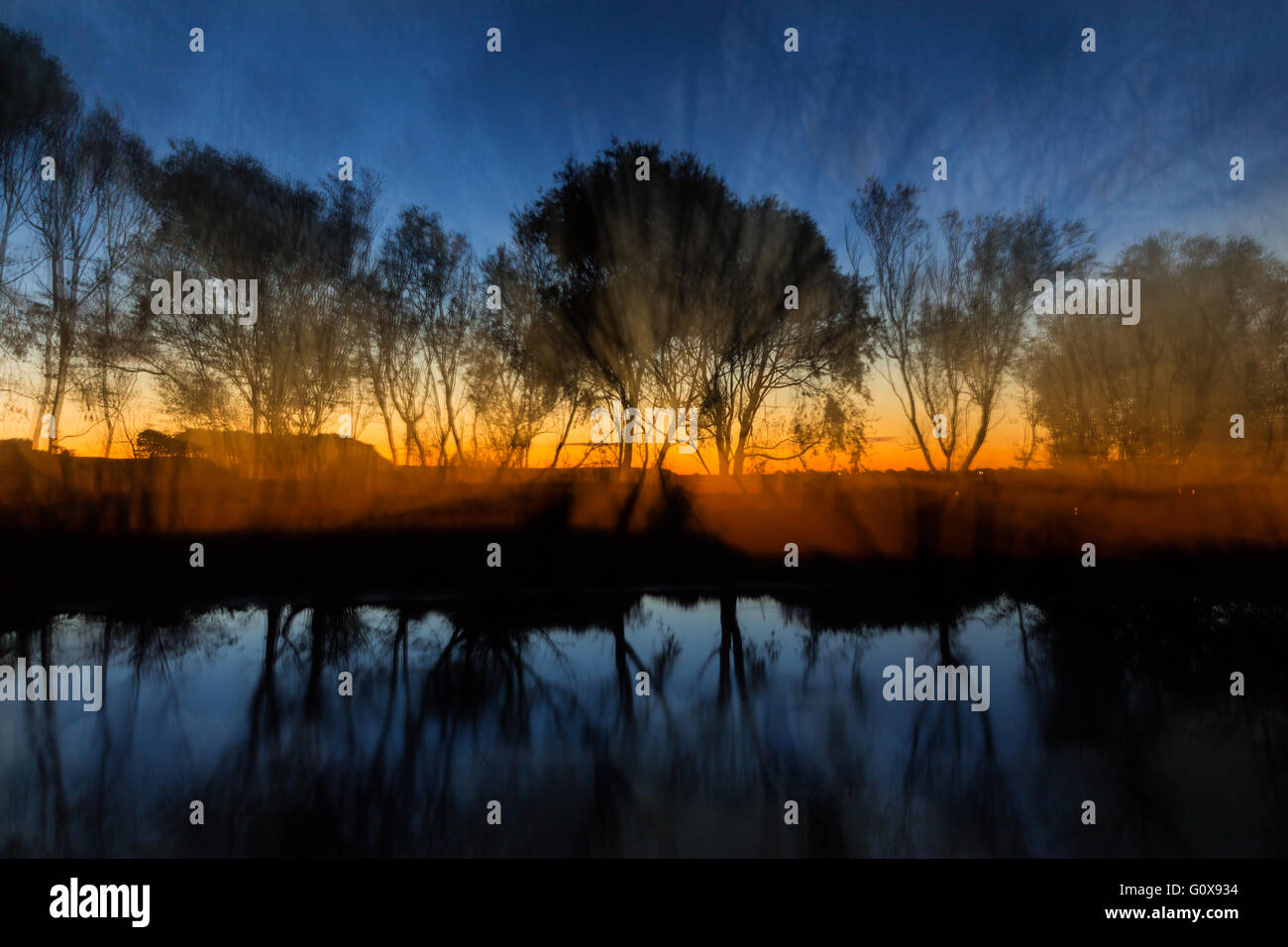 Serata meravigliosa luce dietro alcune Silhouette willow alberi sulle rive di un fiume. Foto Stock