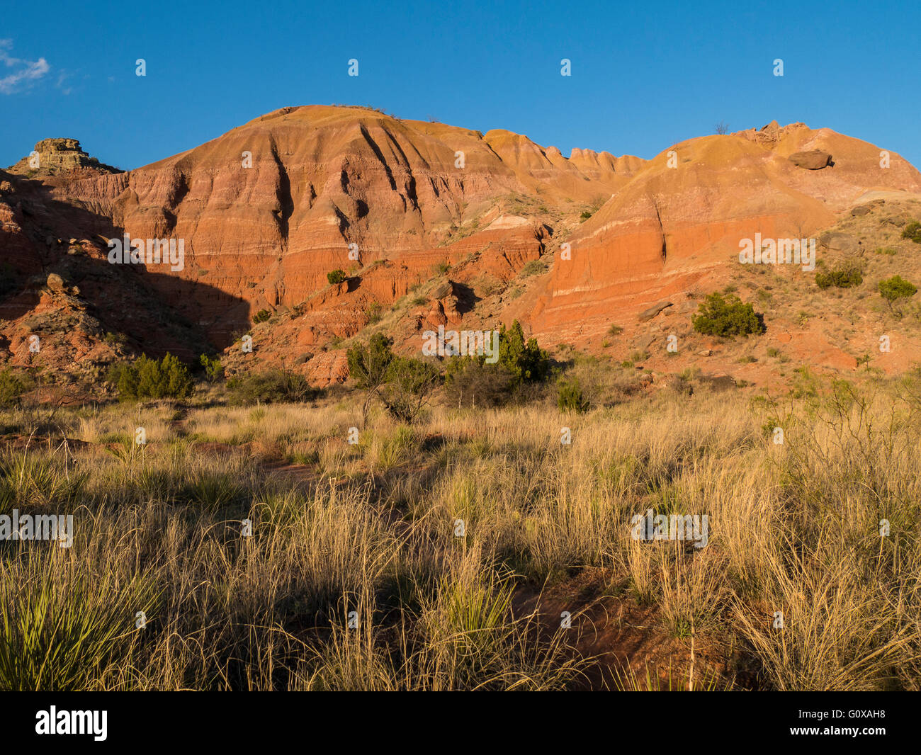 'Spanish mantello' formazioni, Mesquite Campeggio, Palo Duro Canyon State Park, Canyon, Texas. Foto Stock