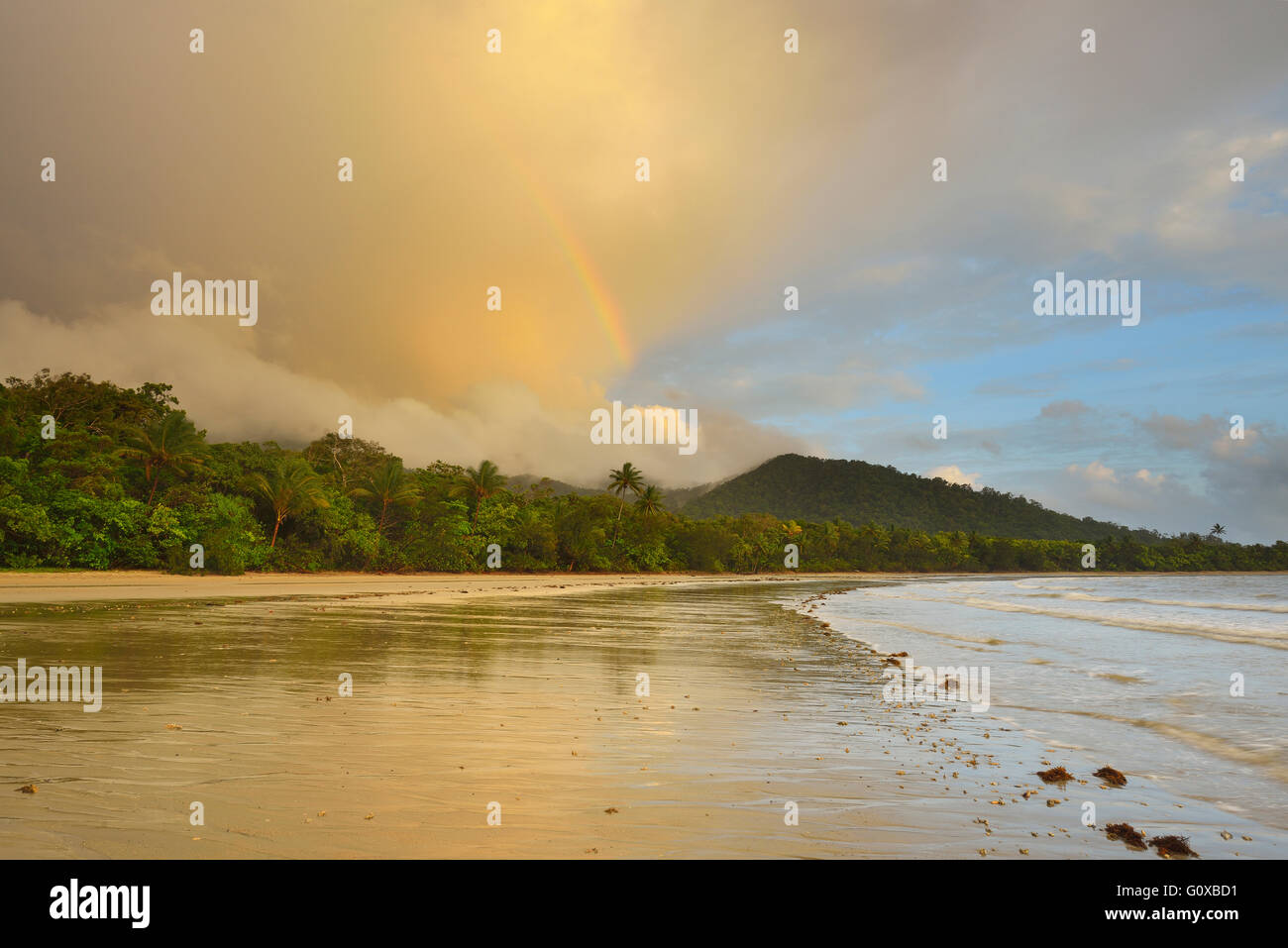 Arcobaleno dopo la pioggia nella mattinata, la foresta pluviale di Daintree e Cape Tribulation, Queensland, Australia Foto Stock