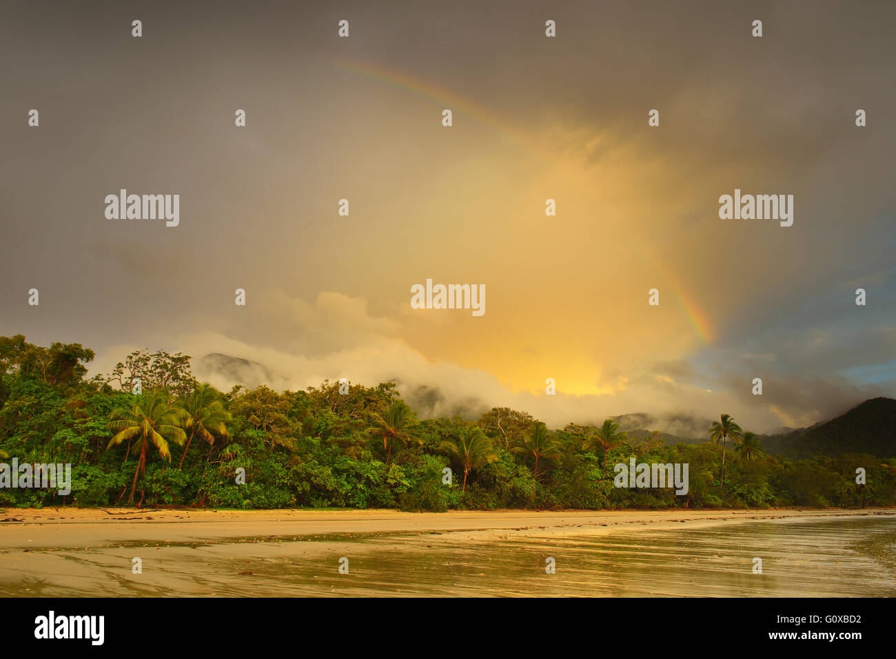 Arcobaleno dopo la pioggia nella mattinata, la foresta pluviale di Daintree e Cape Tribulation, Queensland, Australia Foto Stock