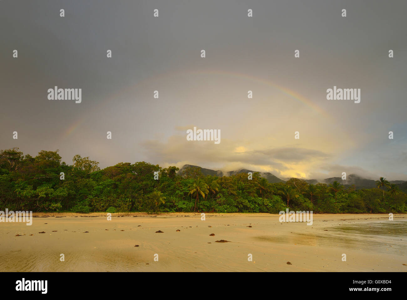 Arcobaleno dopo la pioggia nella mattinata, la foresta pluviale di Daintree e Cape Tribulation, Queensland, Australia Foto Stock