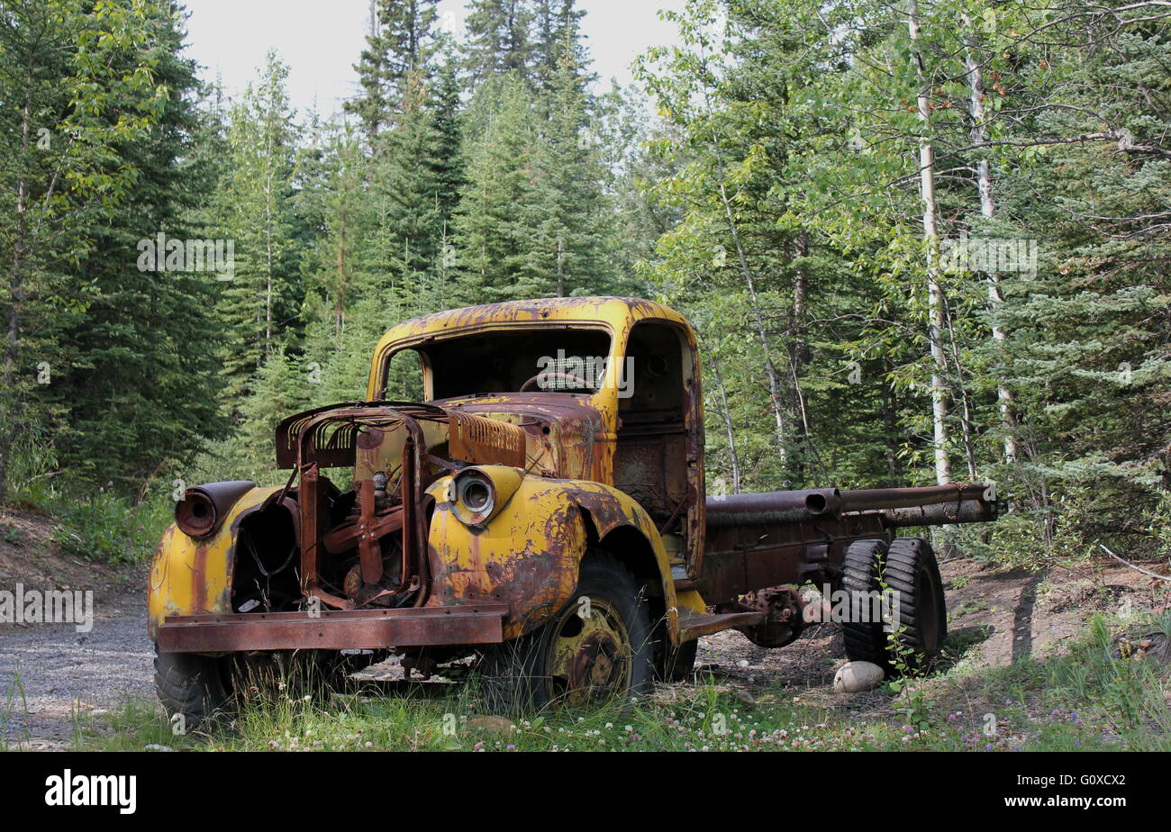 Un vecchio carrello nella foresta. Foto Stock