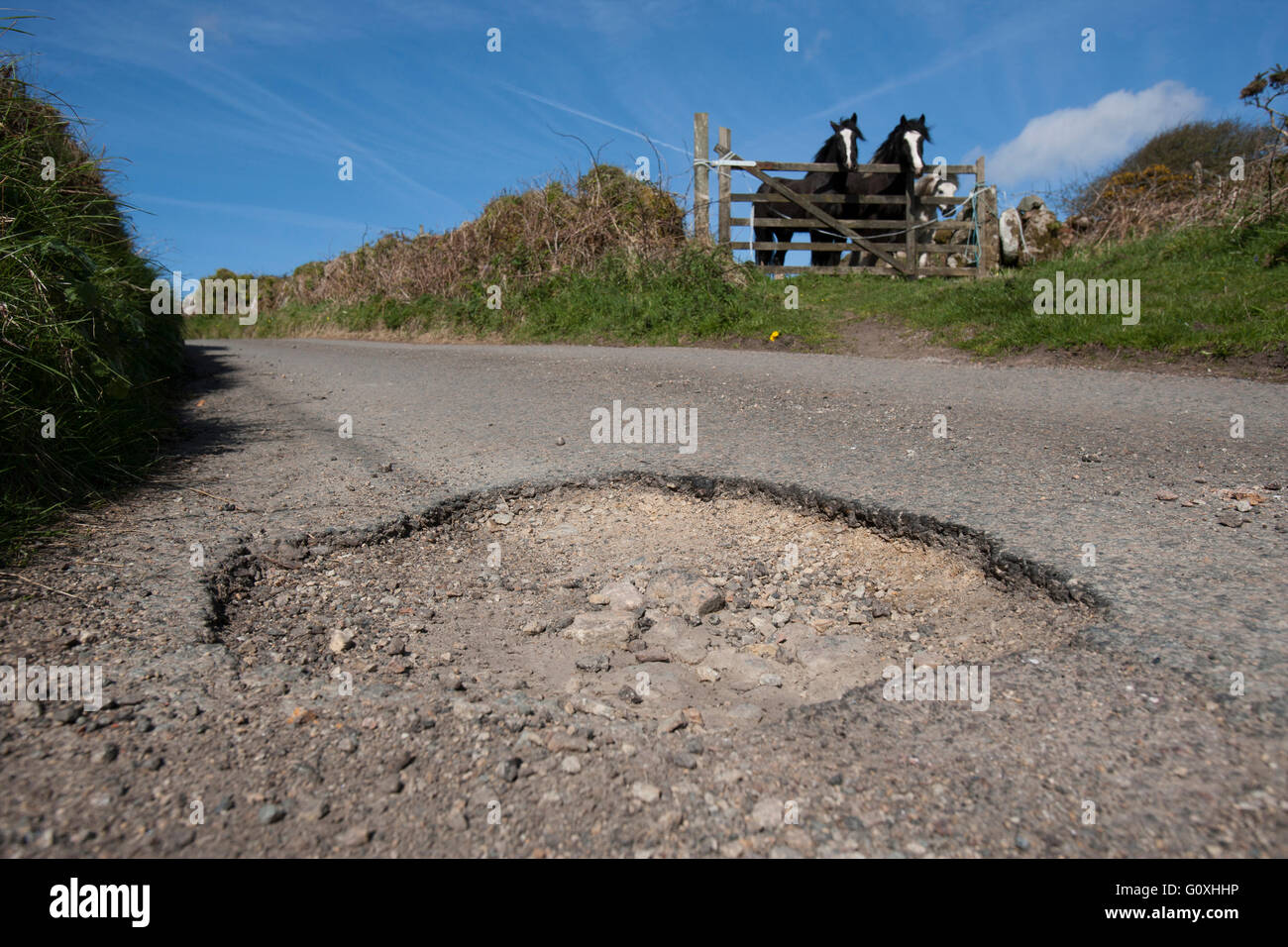 Campagna di buche in strada causano danni alle auto e sono un pericolo per gli ignari motociclisti e ciclisti buca Foto Stock