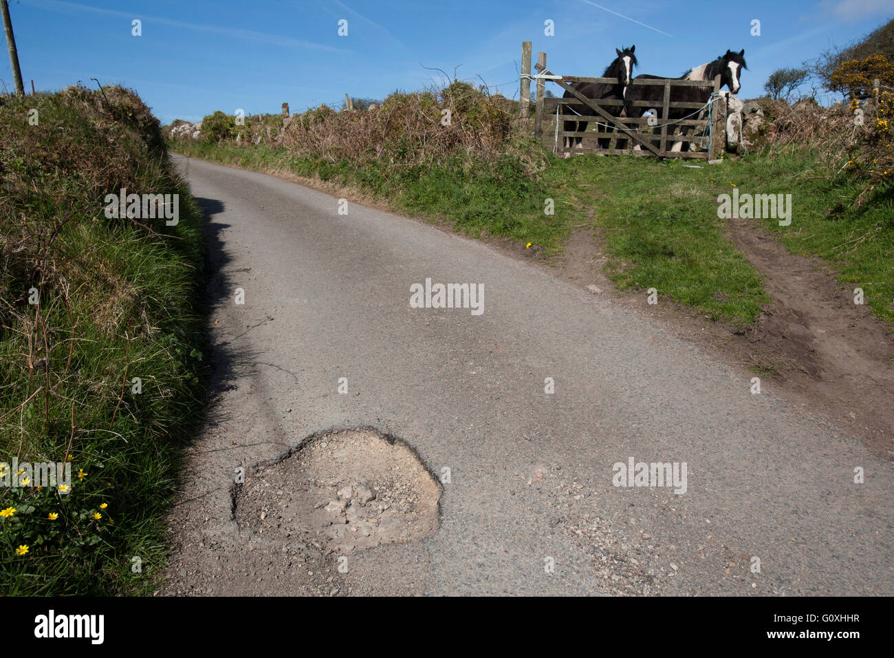 Campagna di buche in strada causano danni alle auto e sono un pericolo per gli ignari motociclisti e ciclisti buca Foto Stock