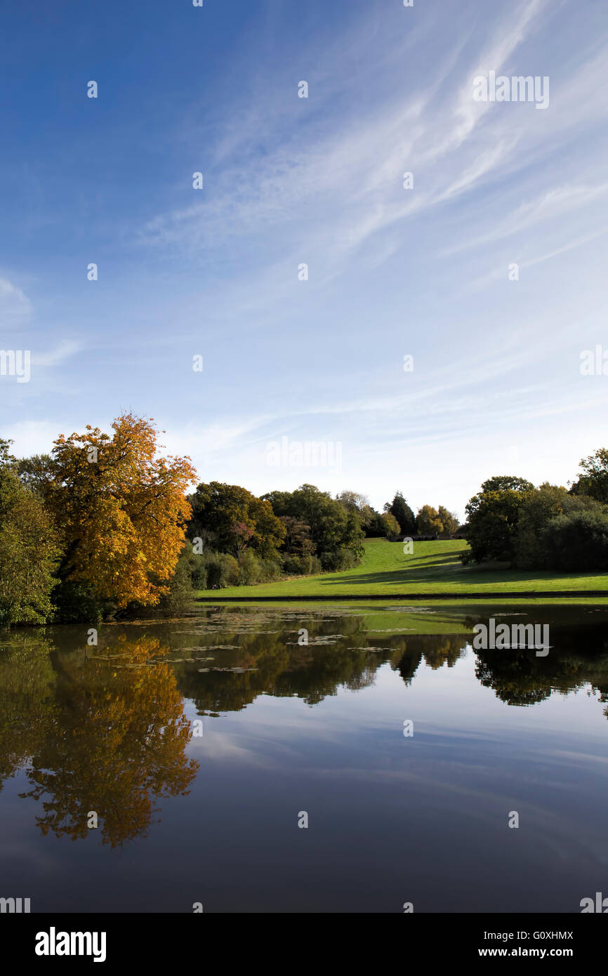 Colori autunnali nei pressi di uno dei laghi a Staunton Country Park, Hampshire Foto Stock