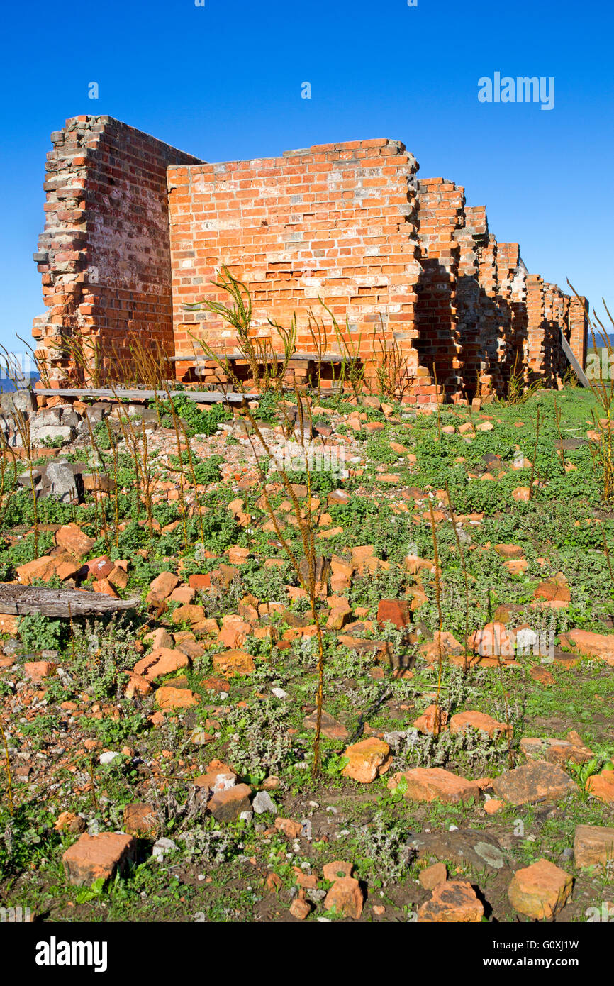 Rovine di condannare le cellule a Lesueur punto su Maria Island Foto Stock