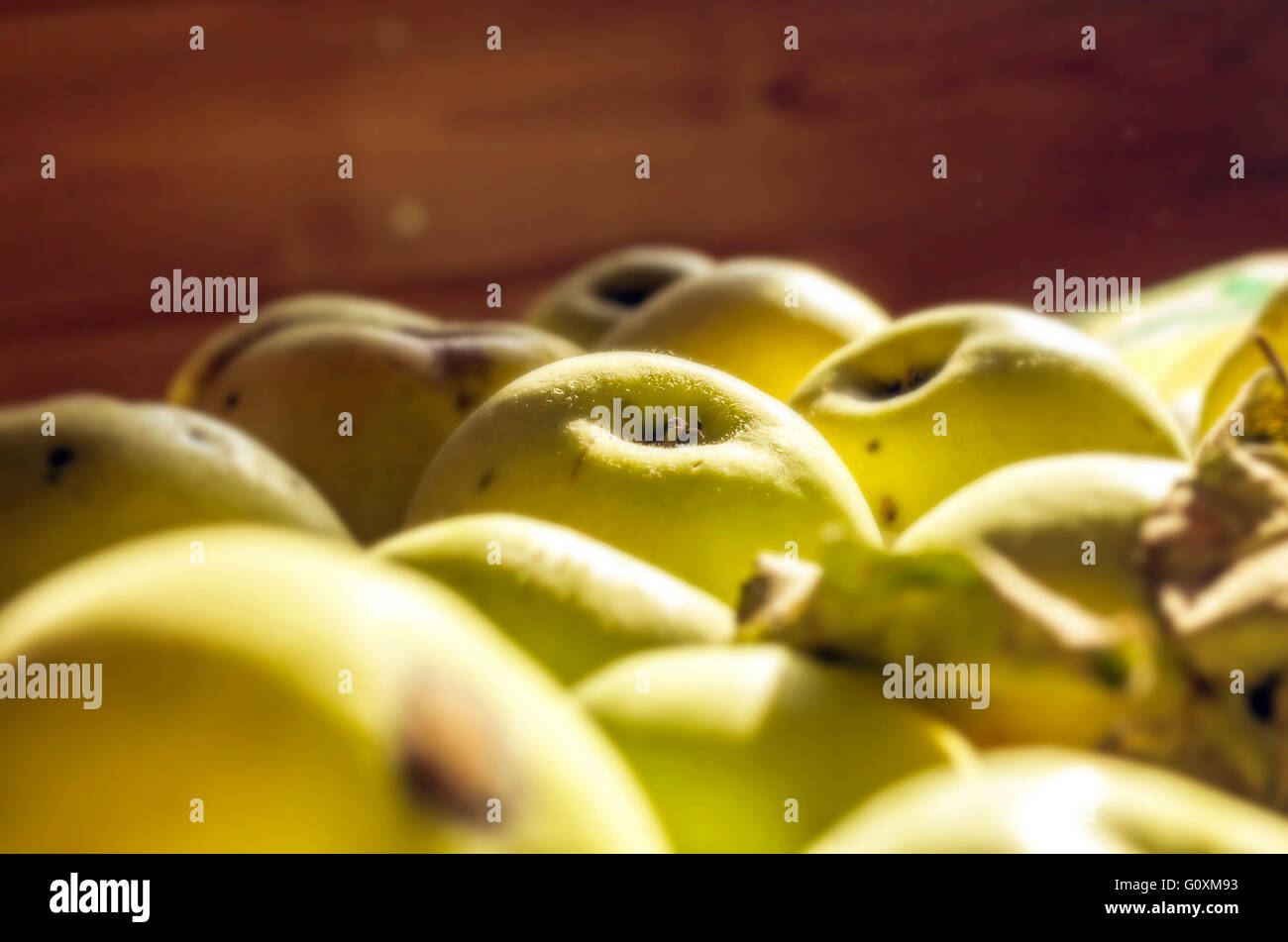 Bellezza antonovka verde le mele di raggi di sole Foto Stock