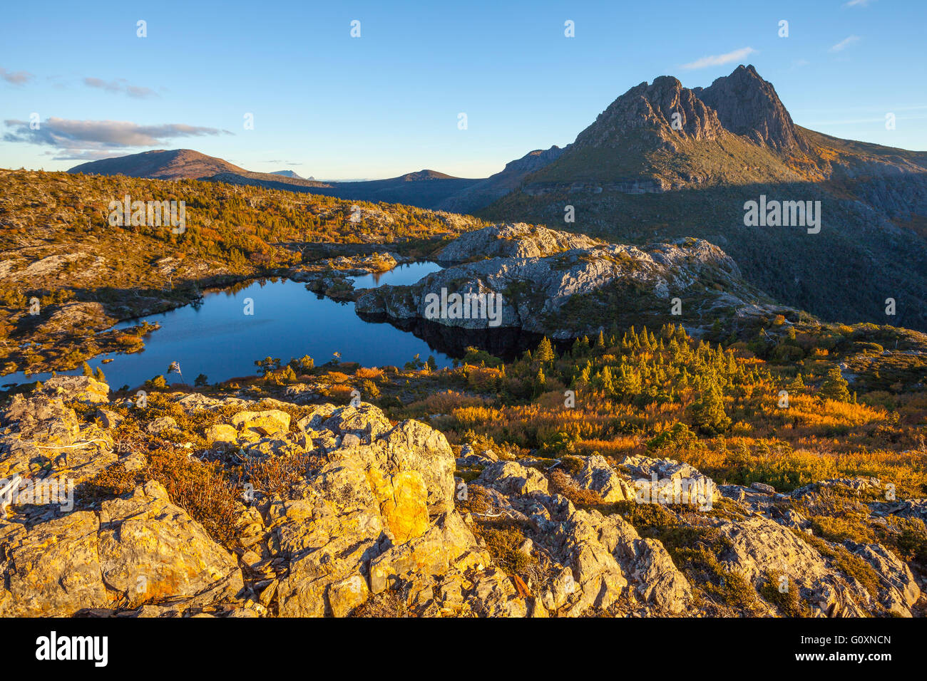 Cradle Mountain e ritorto laghi - Cradle Mountain Lake St Clair N.P - Tasmania Foto Stock