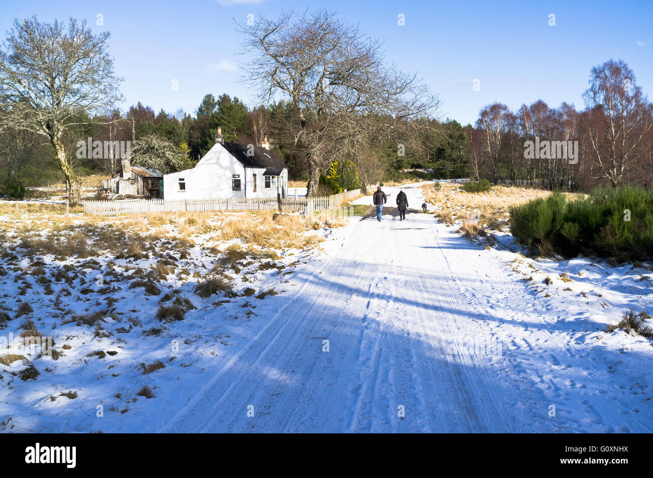 Dh Speyside modo AVIEMORE INVERNESSSHIRE Walkers cottage snow sentiero via scozia passeggiata invernale Foto Stock