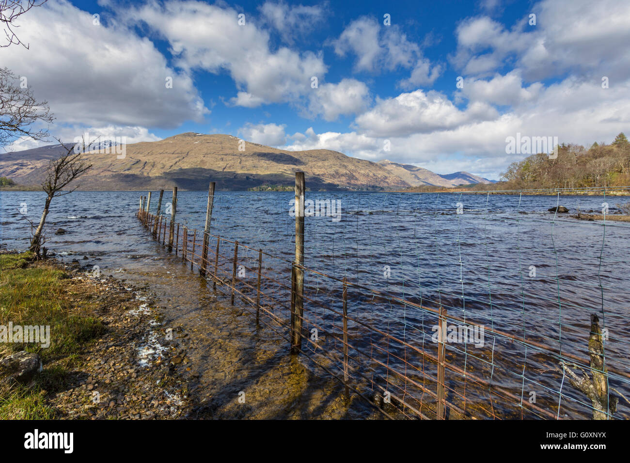 Loch Awe, Argyll and Bute, Scozia. Foto Stock