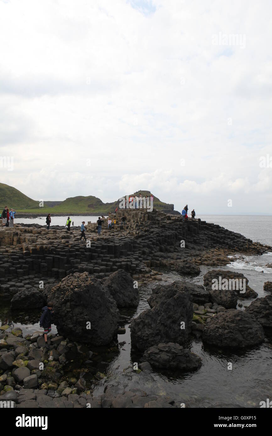 Giants Causeway di Antrim, Irlanda del Nord Foto Stock