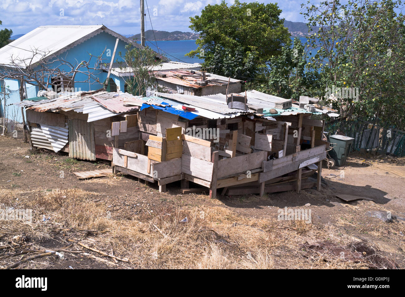 Dh Mayreau isola ST VINCENT Caraibi Caraibi hutches di Coniglio Saint Vincent e Grenadine Foto Stock